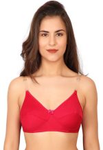 CHELVY.COM Best Sellers Lingerie India / Bra / Panty / Nightwear / Pushup Bra / Thong 9