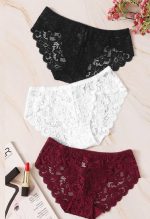 3 pack Lace Flowers hipster Panties 8 CHELVY.COM Hipsters Lingerie India / Bra / Panty / Nightwear / Pushup Bra / Thong 8